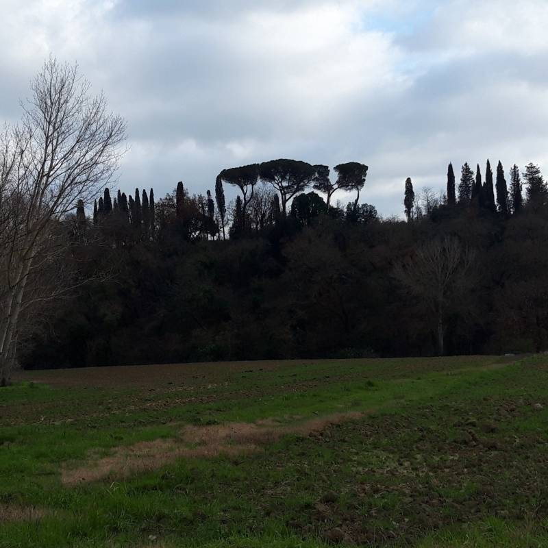 Fotosegnalazione di Monteroni d'arbia