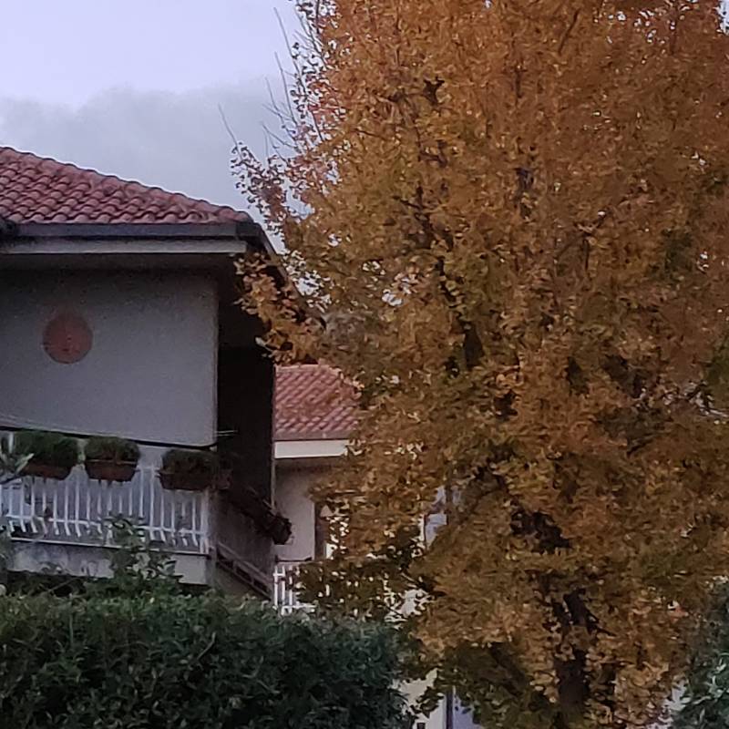 Inizio inverno a lamezia terme