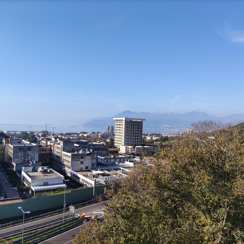 Bella giornata di gennaio 2023