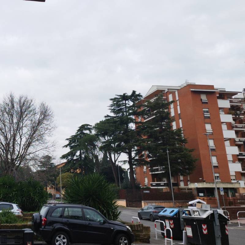 Fotosegnalazione di Roma appio claudio