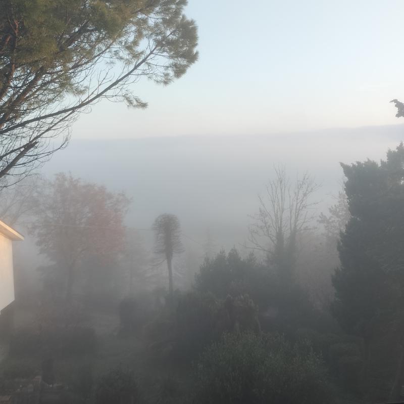 Fotosegnalazione di Pesaro fosso sejore