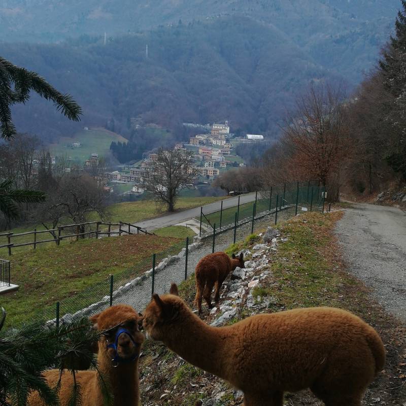 Fotosegnalazione di San giovanni bianco