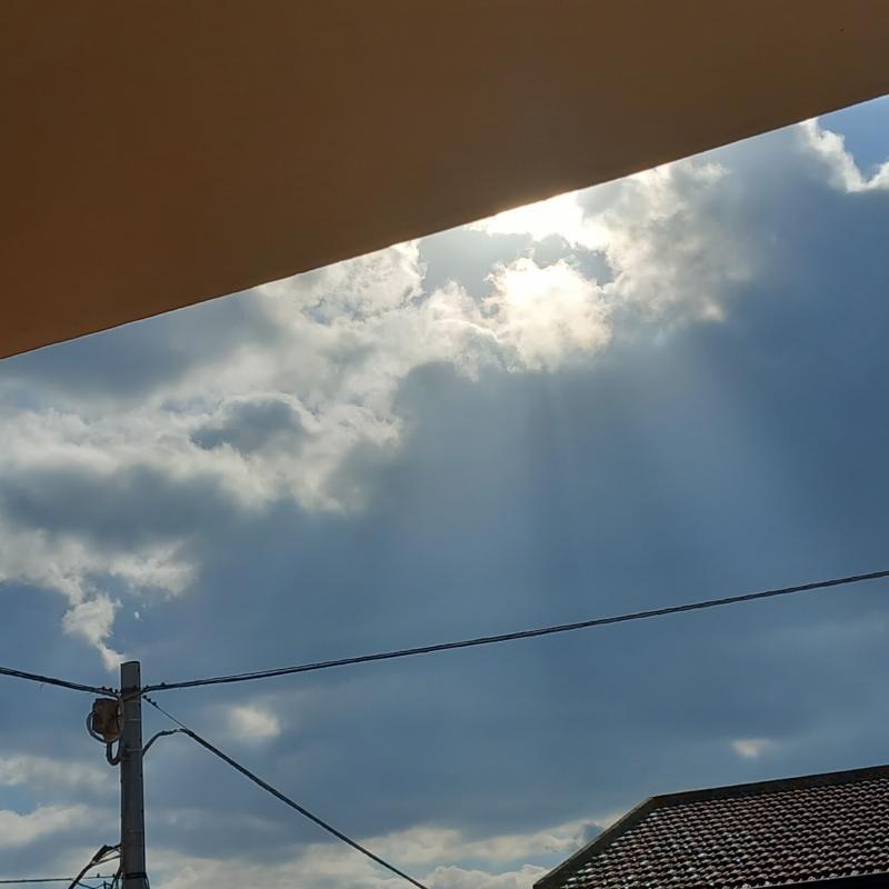Fotosegnalazione di Mogoro
