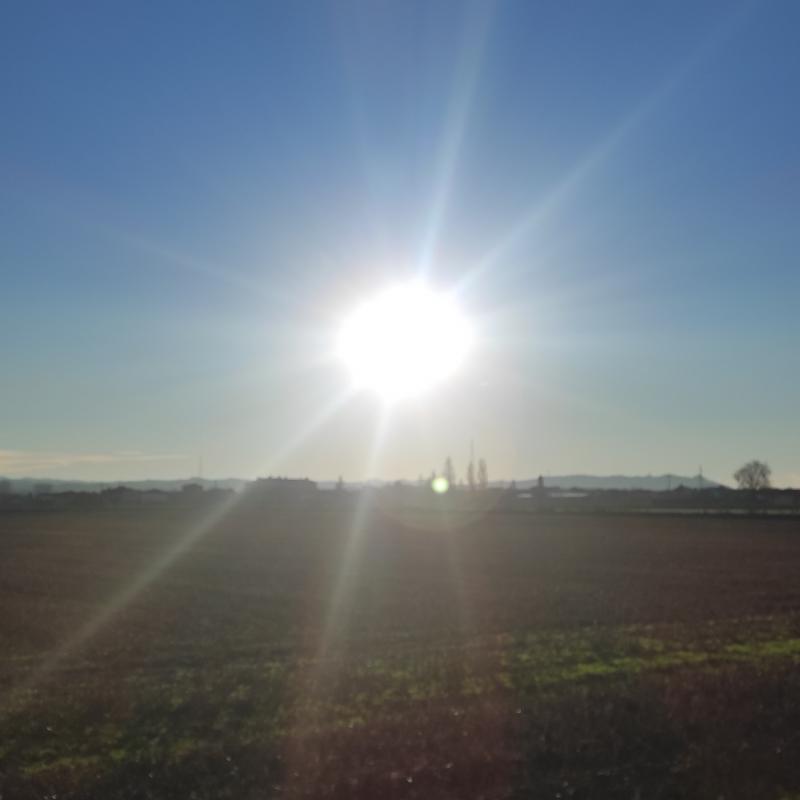 Fotosegnalazione di Zerbo