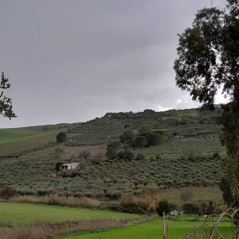 Fotosegnalazione di Caltabellotta