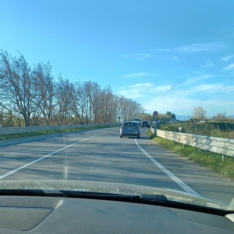 Fotosegnalazione di Sellia marina
