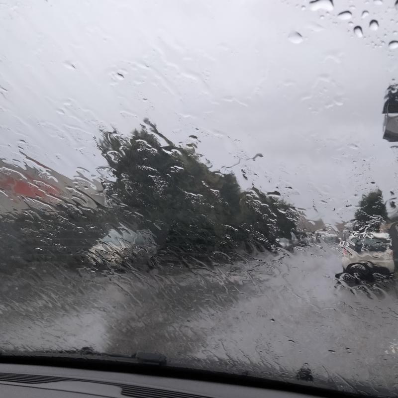 Fotosegnalazione di Carrara litorale