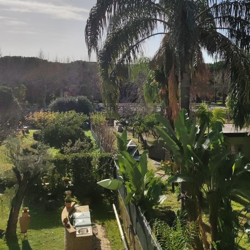 Giornata primaverile in pieno inverno