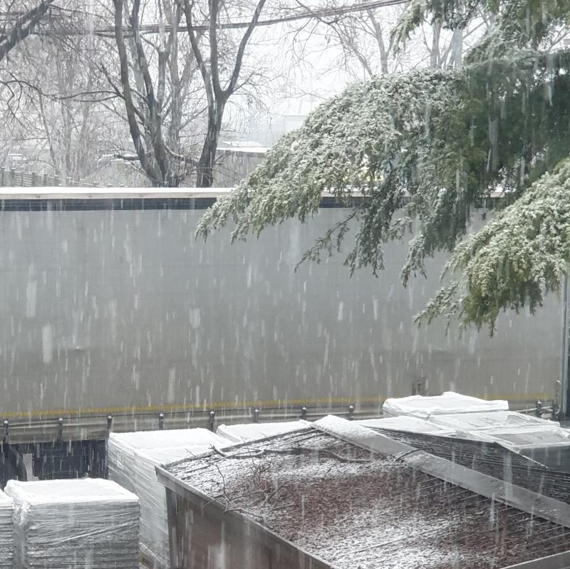 Fotosegnalazione di Brescia fornaci