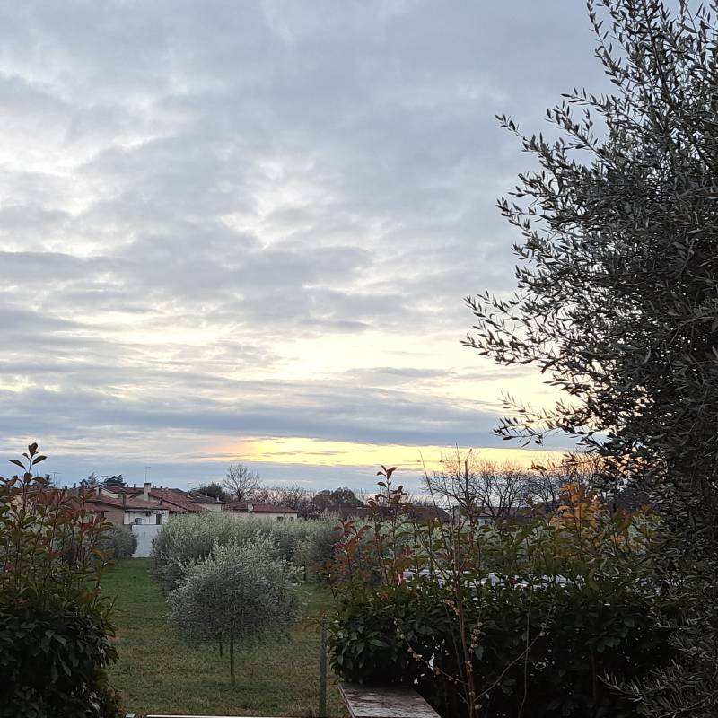 Fotosegnalazione di Romano d'ezzelino