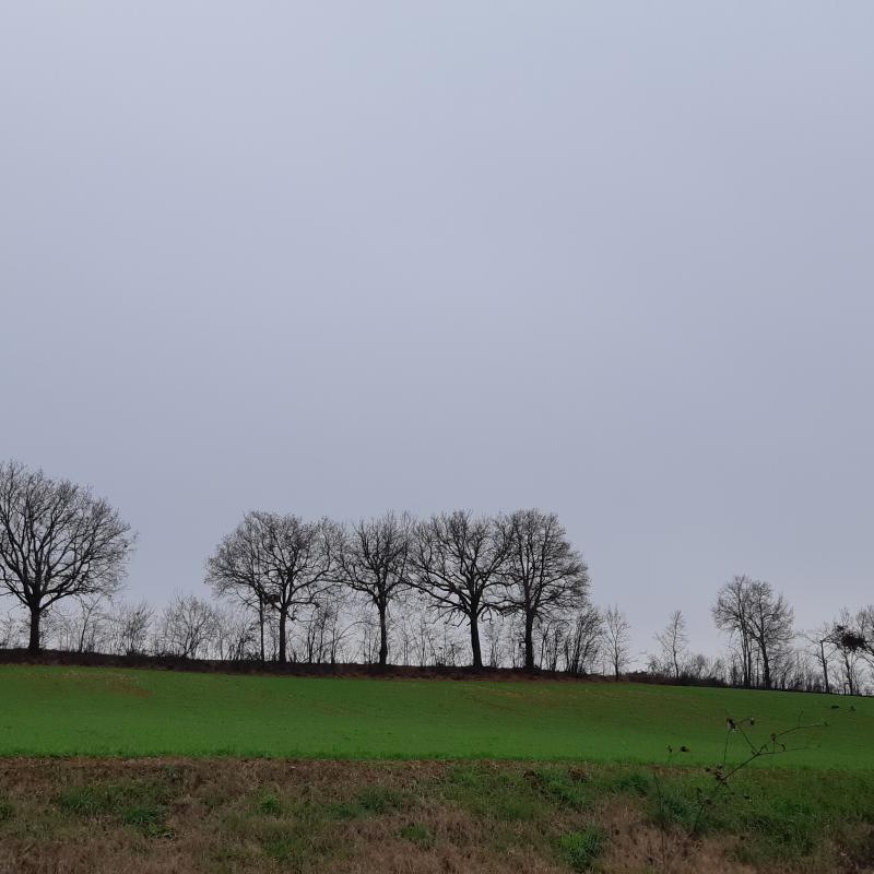 Fotosegnalazione di Alseno
