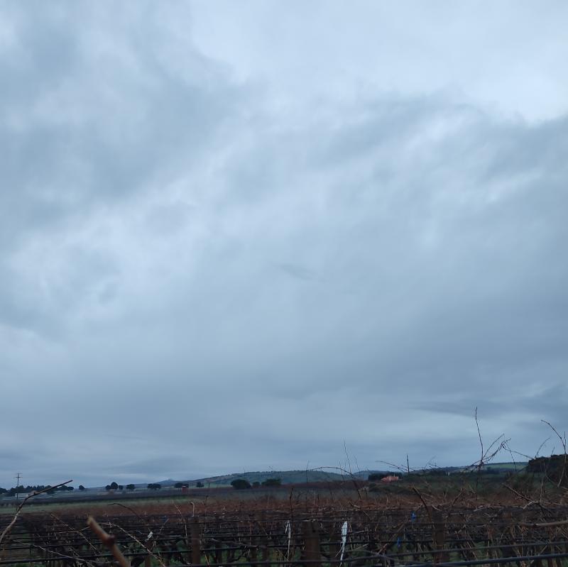 Fotosegnalazione di Andria est