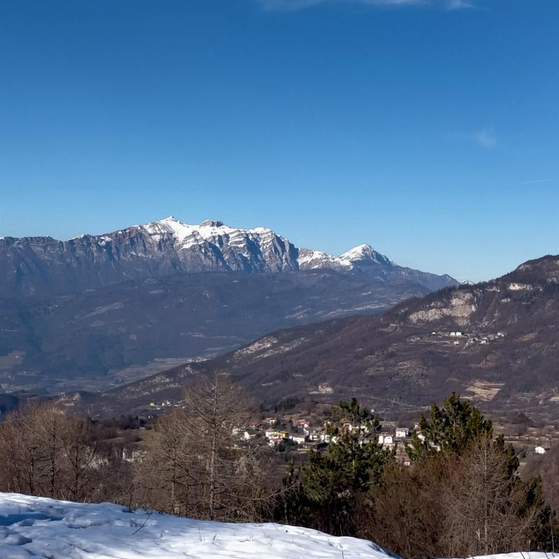 Fotosegnalazione di Trambileno