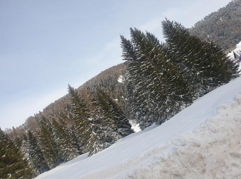 fondo grande Folgaria