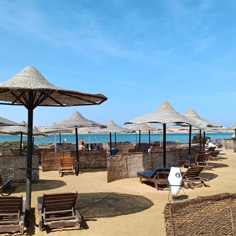 Fotosegnalazione di Marsa alam