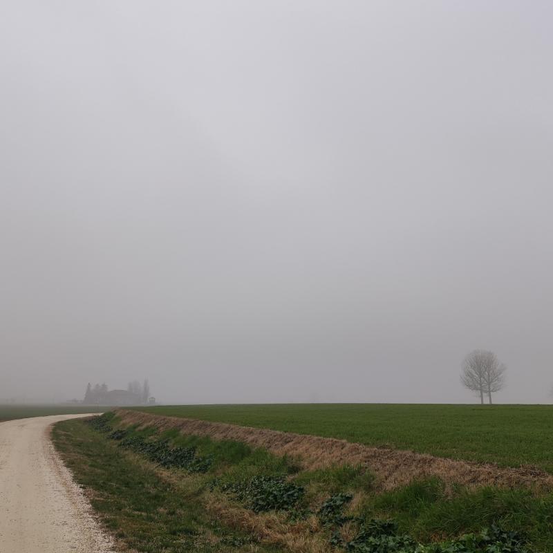 Fotosegnalazione di San giovanni in persiceto