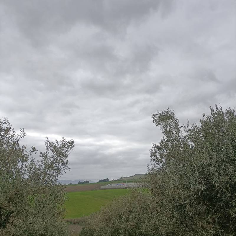 Fotosegnalazione di Selegas
