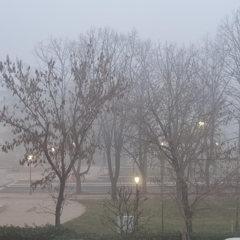 Nebbia in viale umberto i reggio emilia