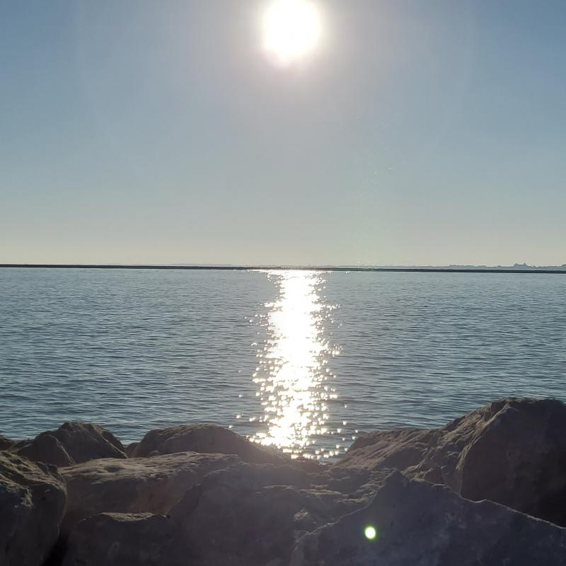 Fotosegnalazione di Cavallino treporti