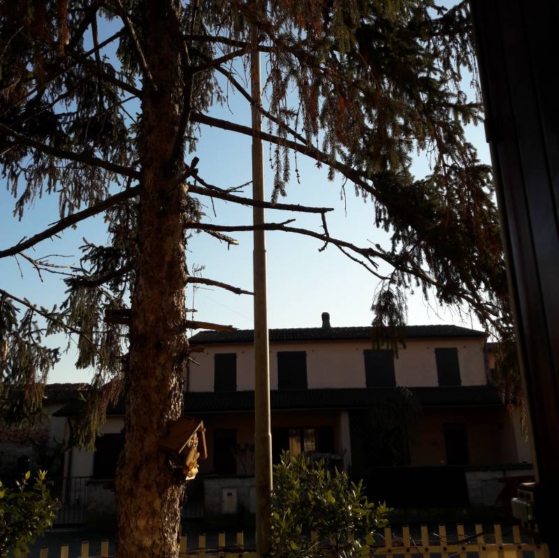 Fotosegnalazione di Corte de' frati