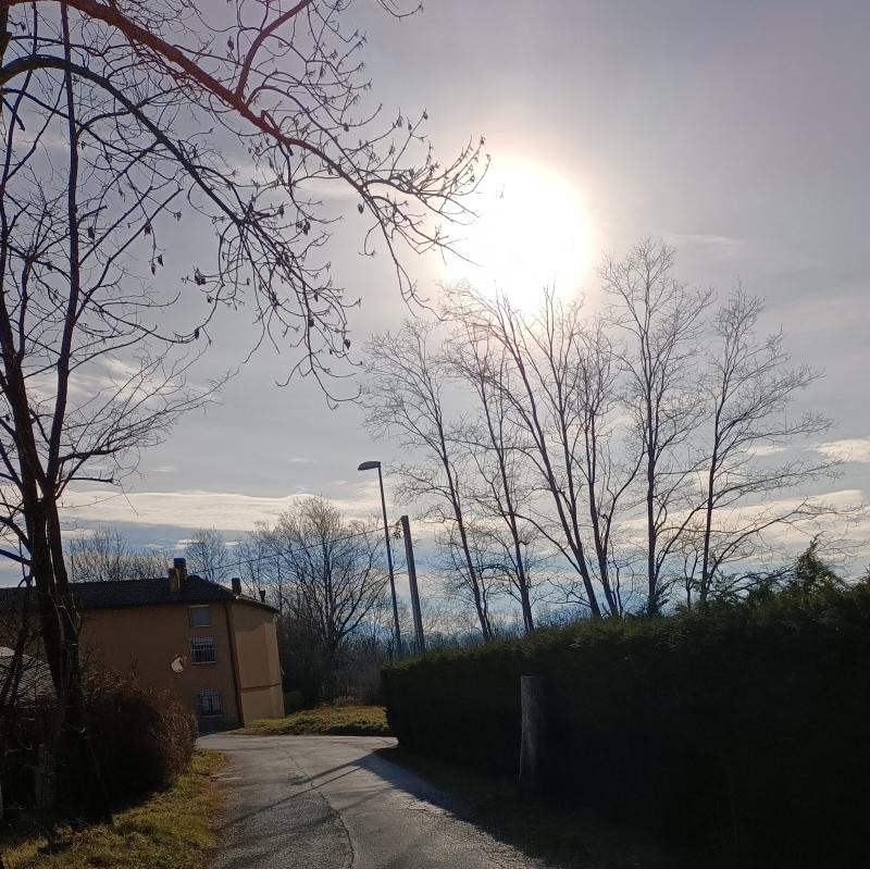 Fotosegnalazione di Sedico