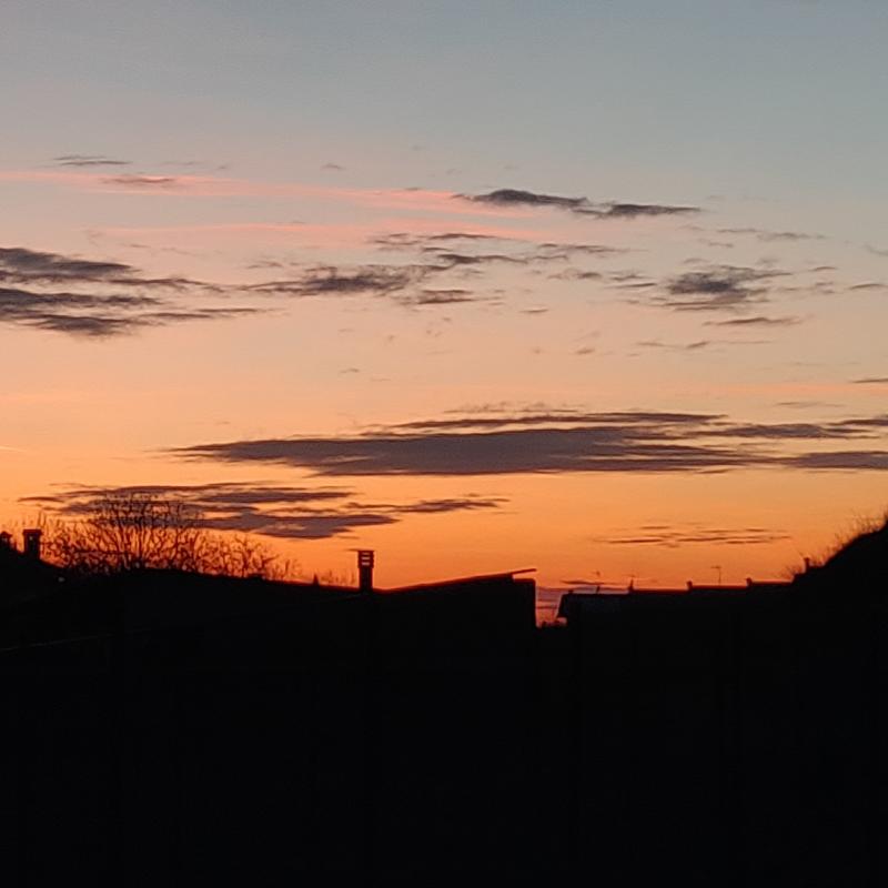 Fotosegnalazione di Gorizia lucinco