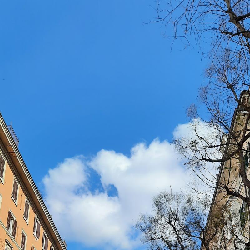 Fotosegnalazione di Roma prati