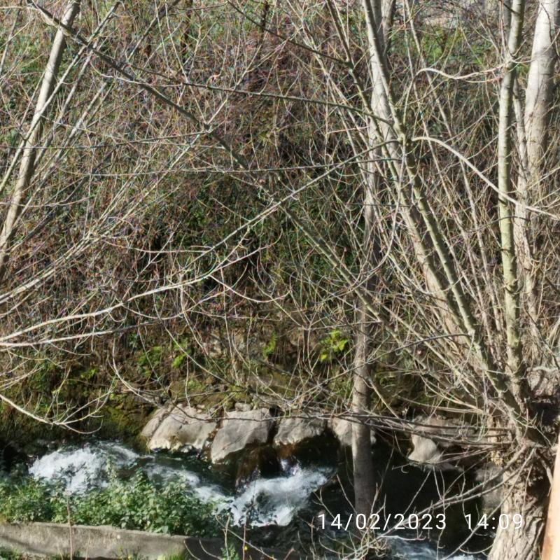Fotosegnalazione di Oliveira de azeme'is