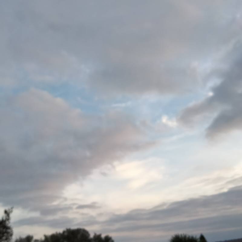 Fotosegnalazione di Arlena di castro