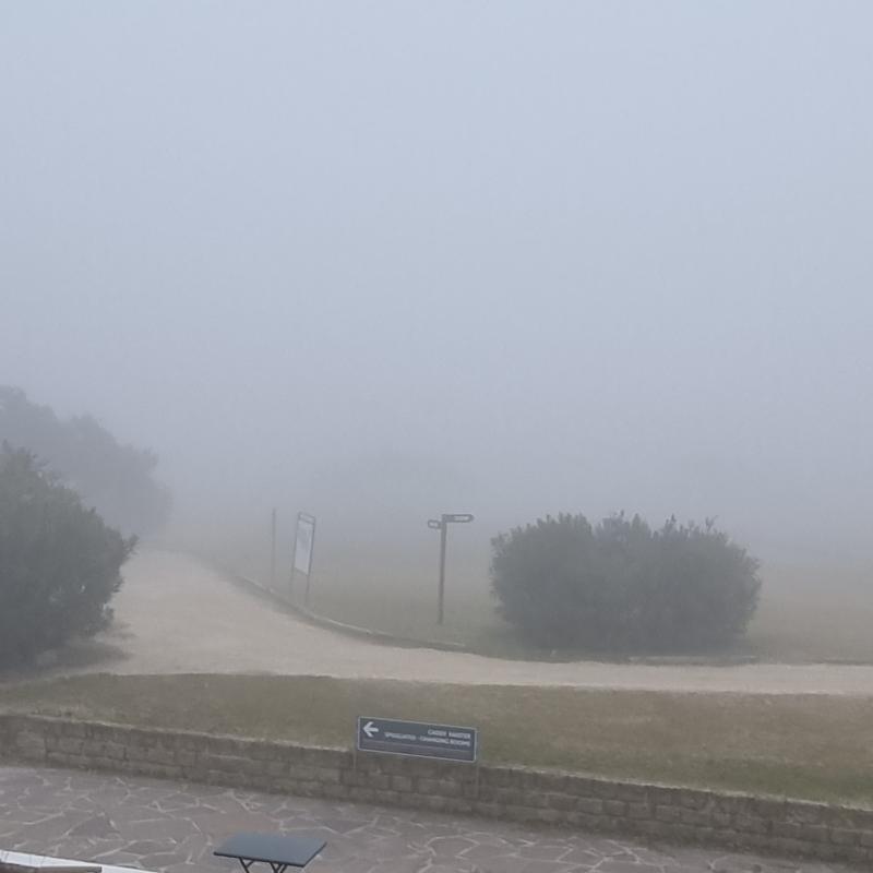 Albarella golf club