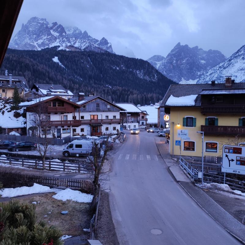 Fotosegnalazione di Moso