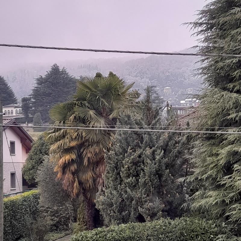 Fotosegnalazione di Erba