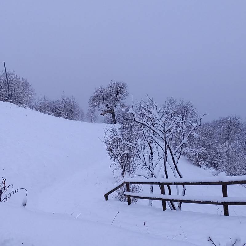 nevicata 28 marzo