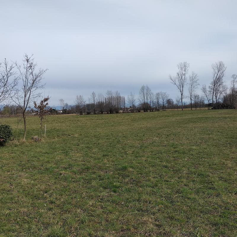 Fotosegnalazione di Pordenone periferia est