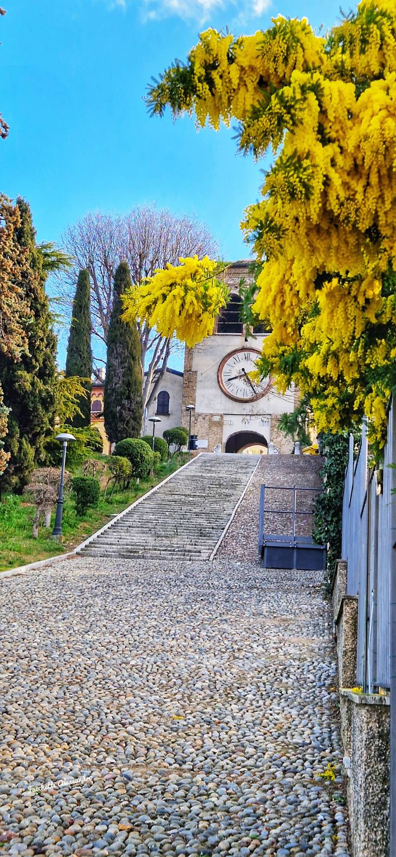 auguri a tutti i castiglionesi