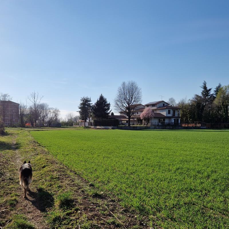 Fotosegnalazione di Verdellino