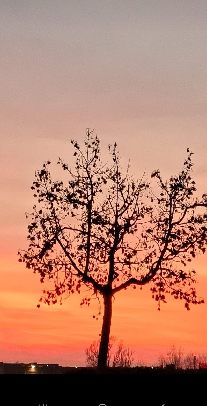 tramonto veneziano