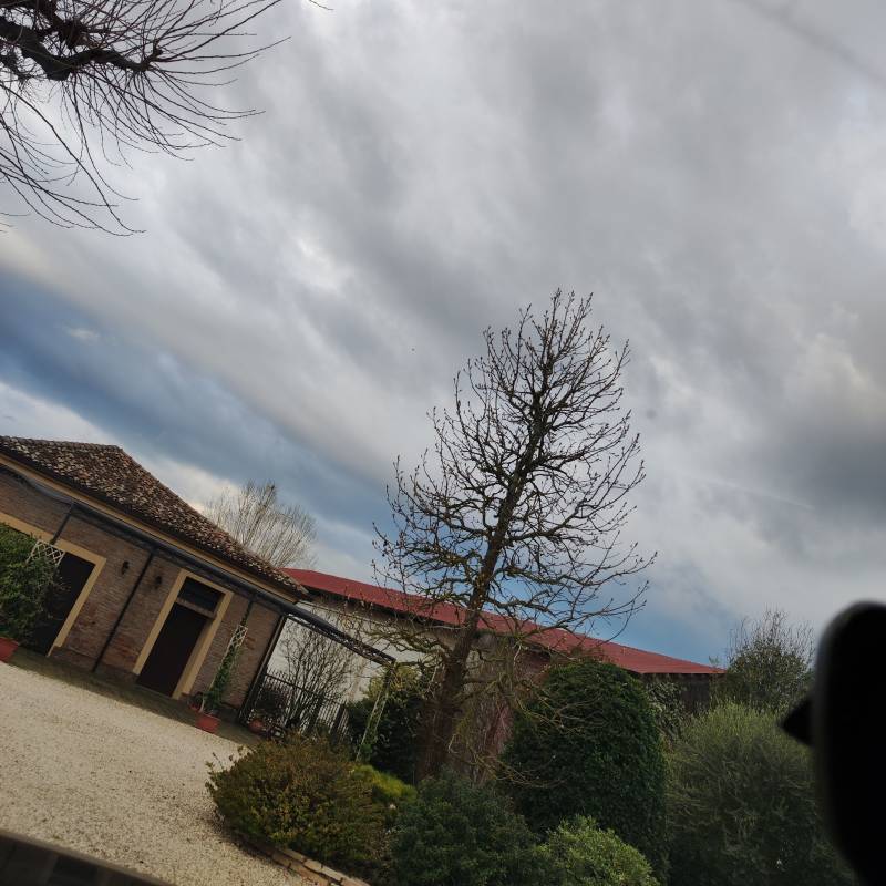 Fotosegnalazione di Massa lombarda