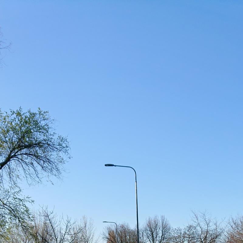 Fotosegnalazione di Milano trenno
