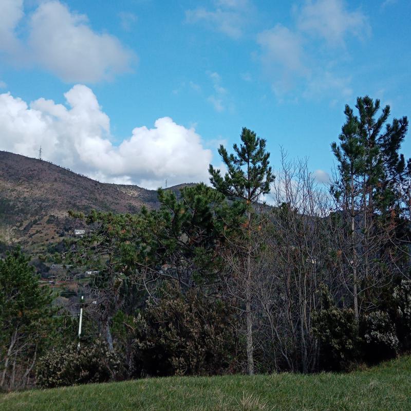 Fotosegnalazione di Genova ponente litorale