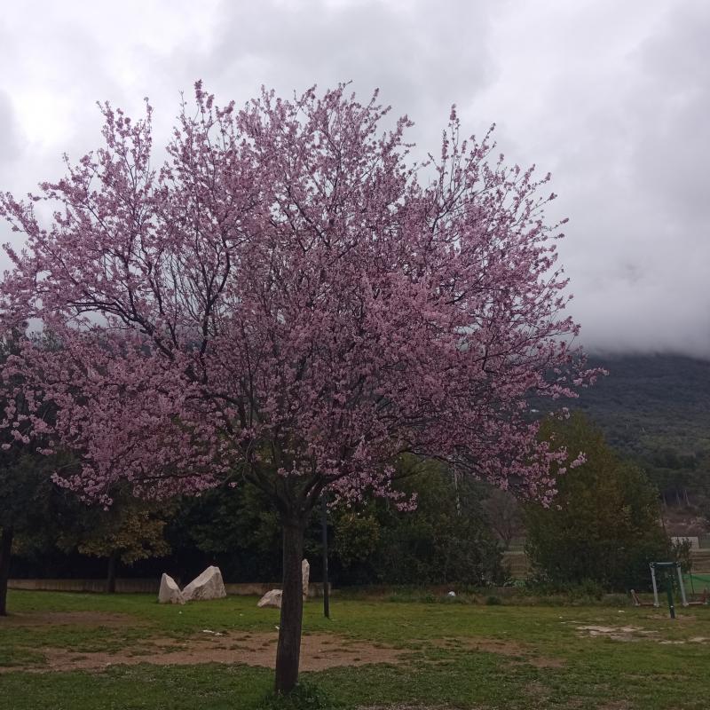 Fotosegnalazione di Palombara sabina