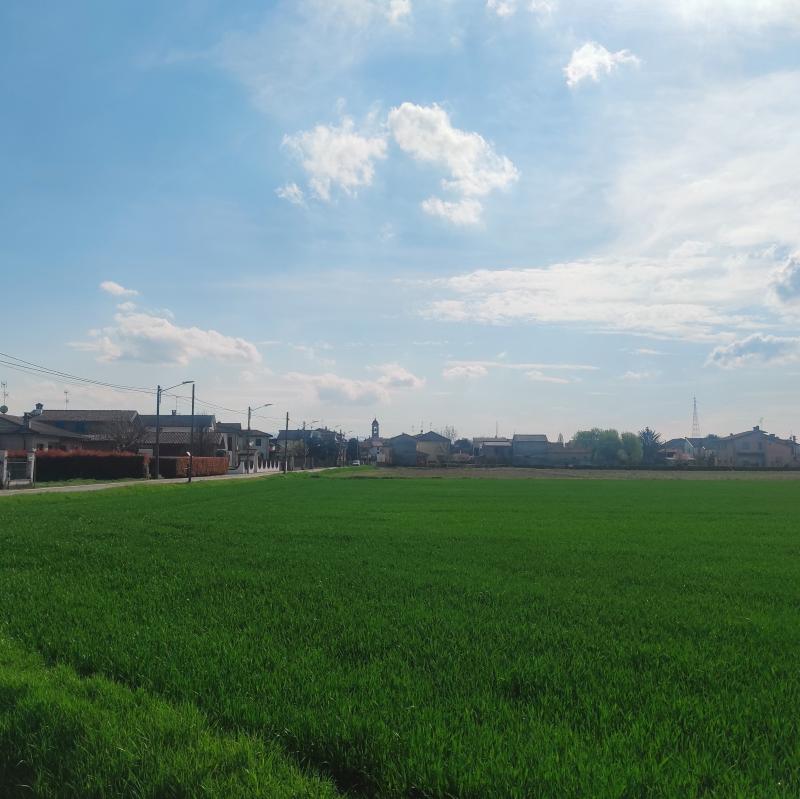 Fotosegnalazione di Zerbo