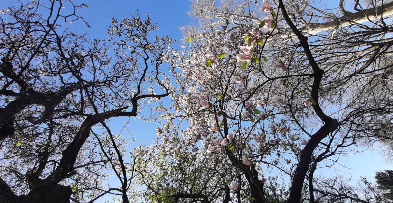 parco prinetti