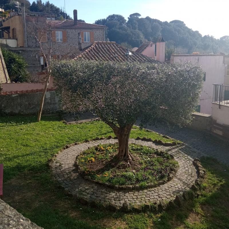 Fotosegnalazione di Anguillara sabazia