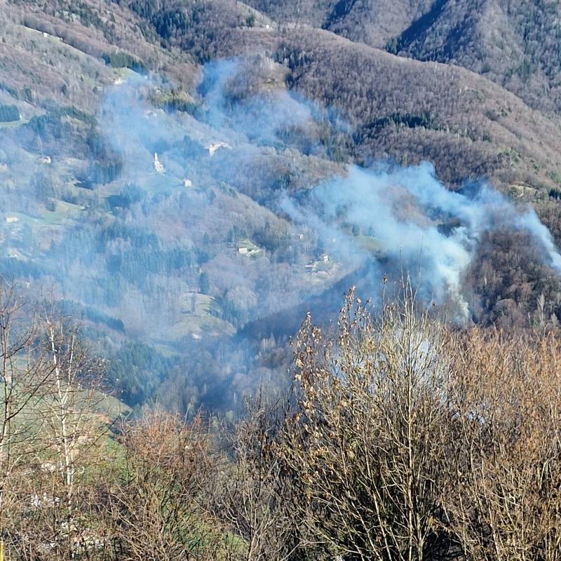 Incendio nel bosco camerata cornello bg