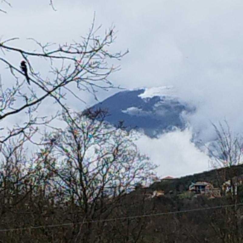 Fotosegnalazione di Arpino