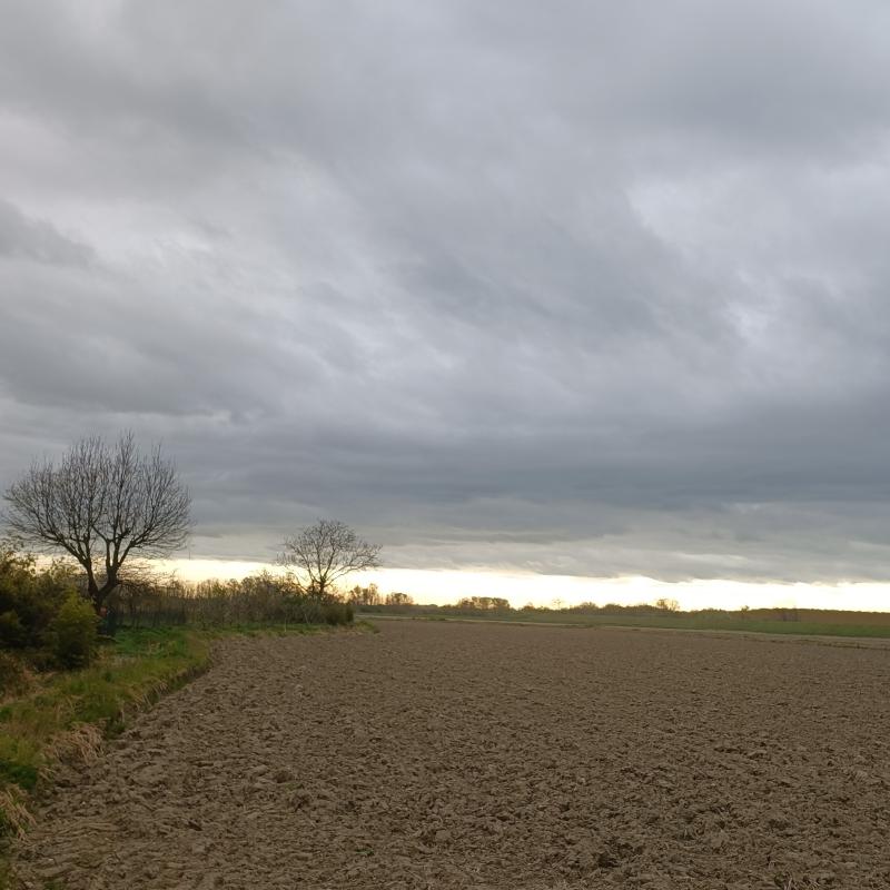 Fotosegnalazione di Gambarana