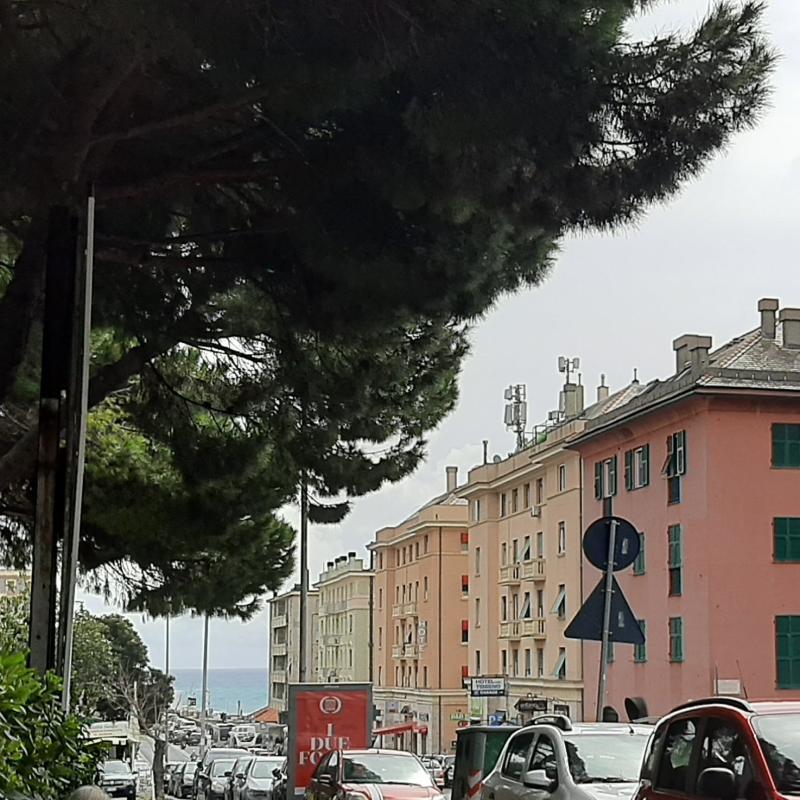 Fotosegnalazione di Genova sturla