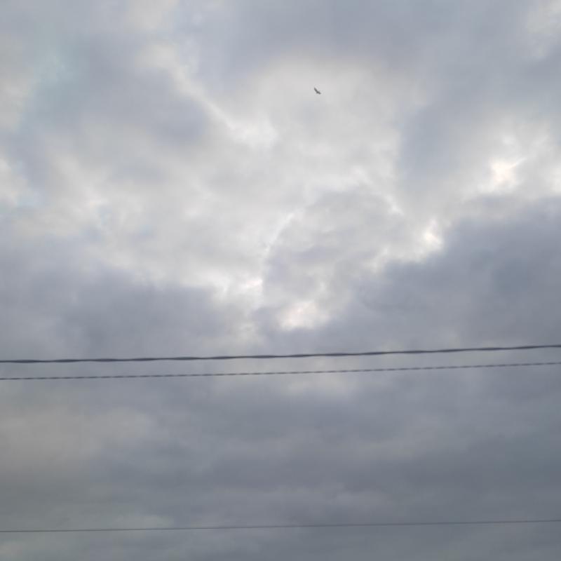 Fotosegnalazione di Cassolnovo