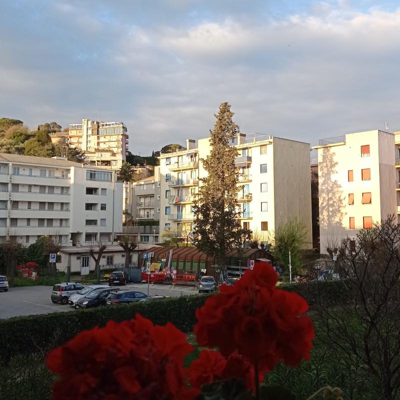 Fotosegnalazione di Sestri levante